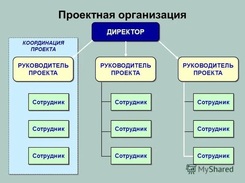 проектная организация осуществляет. организация проекта. организация проектных работ в строительстве. проектная организация схема. структура проектной документации.