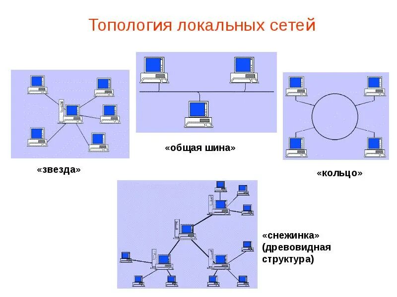 Кольцо передачи данных. Топология сети (общая схема соединения компьютеров в локальные сети):. схема локальной сети с топологией звезда шина. соединение топологий звезда и кольцо. основные топологии лвс. топологии звезда.