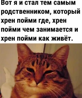 Кот хрен