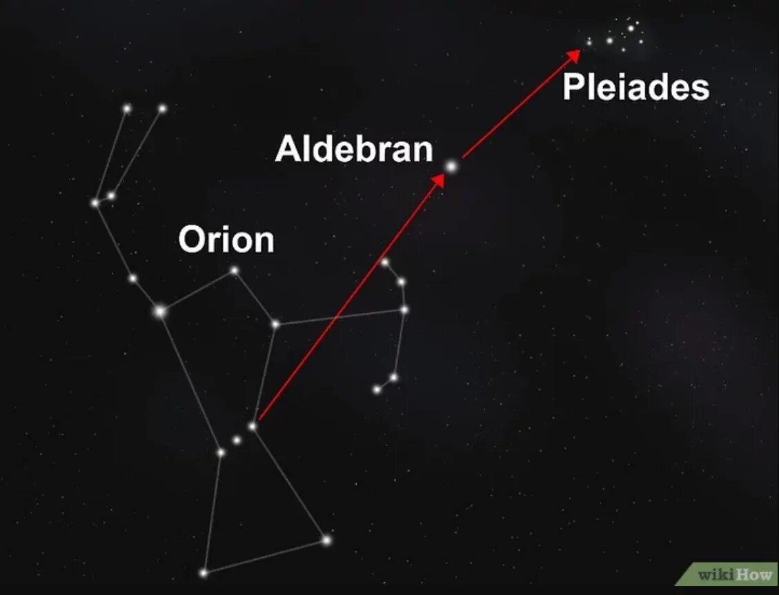 Созвездие звезды плейона. Альциона звезда в созвездии тельца. Созвездие Плеяды (семизвездие).. Созвездия на небе Альдебаран. Гиад Созвездие Ориона.