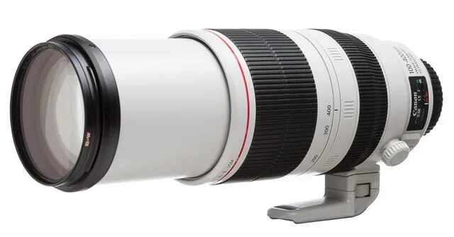 Canon 100 400 примеры фото Good For Birds Canon RF 100-400mm f5.6-8 IS USM Review