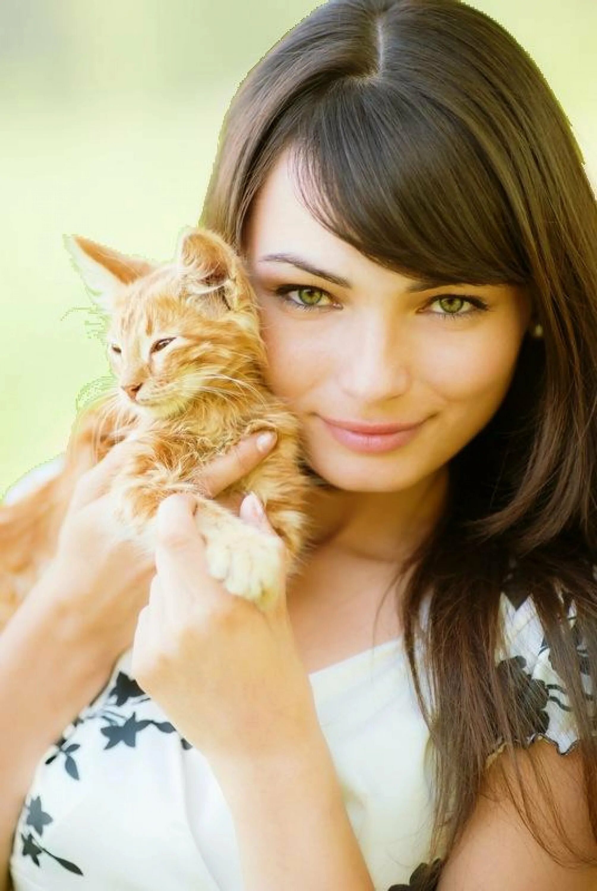 Красивые девушки с котами. Девушка с котом. красивая девушка с кошкой. женщине красивые котята. красивая девушка с котенком.