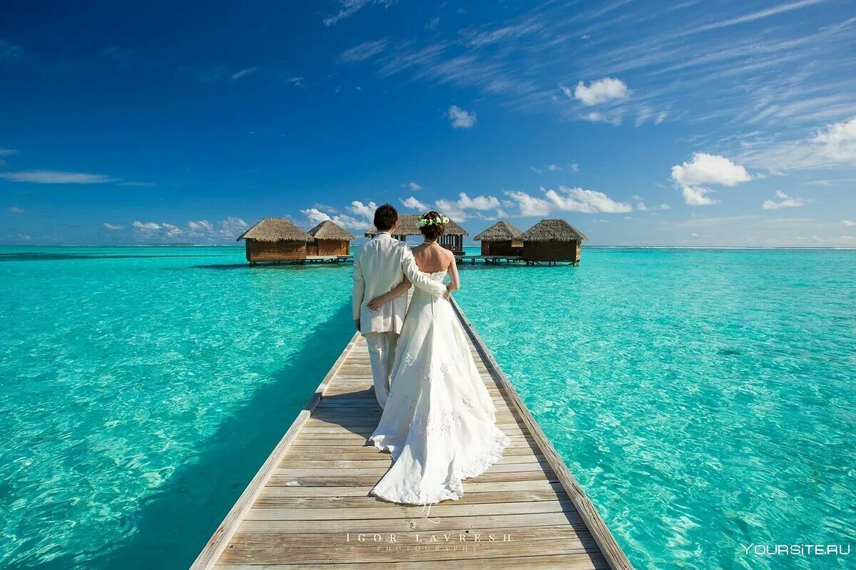 Мальдивы Анекс. Церемония бракосочетания на Мальдивах. Мальдивы 2022. Свадьба у океана. Церемония желаний