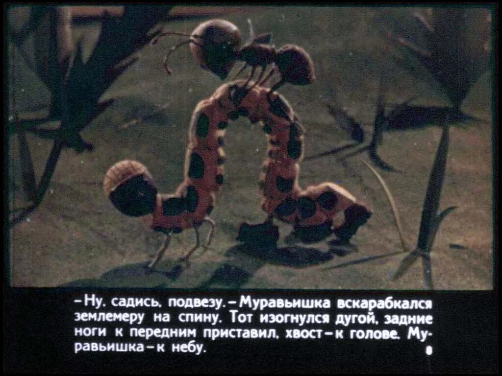 Муравьишка предлагает тебе подобрать общее. Приключения муравьишки гусеница землемер. землемер муравьишка домой спешил. гусеница землемер муравьишка домой спешил. рисунок к сказке как муравьишка домой спешил.