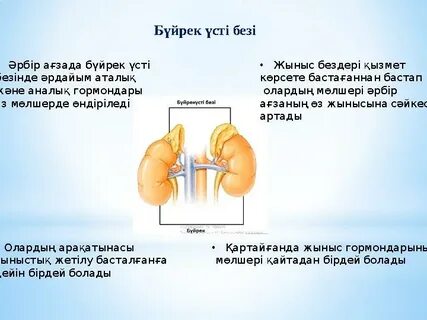 Жас жігітпен порно милф