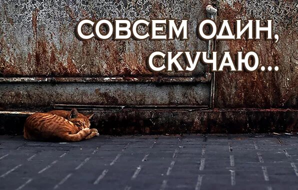 Совсем з. Совсем один. один совсем один. я совсем один. совсем один картинки.