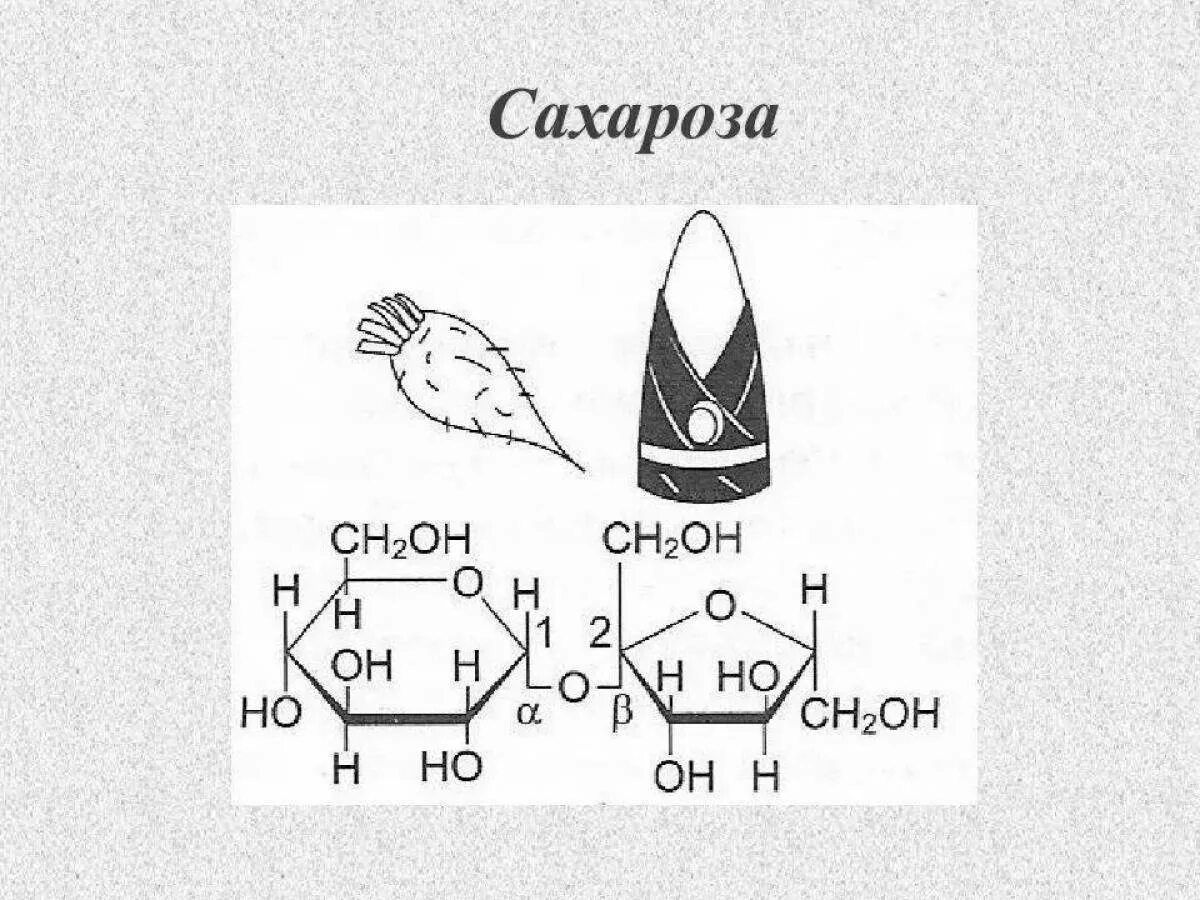 Экзамен сахарозы геншин импакт. Генши́н Импакт сахароза. Сахароза Геншин. Сахароза и Венти Геншин. Сахароза Genshin Impact.