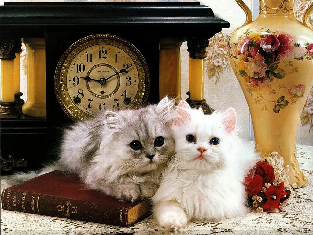 открытки с добрым утром с котятами. открытки с добрыми котятами. открытки с добрыми котятами. красивые кошечки. художник персис клейтон вейерс камин.