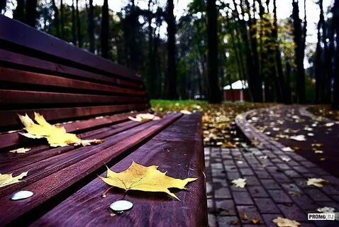 Осень осень листья сбросит слушать