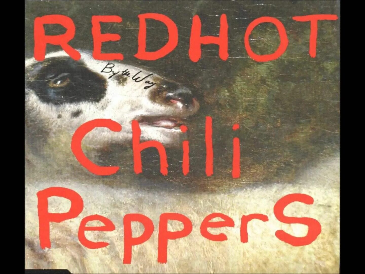 Перевод песни red pepper. Red hot Chili Peppers 2002 by the way. Red hot Chili Peppers обложка. By the way Red hot Chili Peppers обложка. Red hot Chili Peppers обложки альбомов.