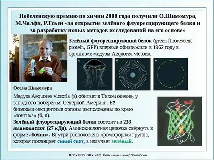 Биохимия и биофизика