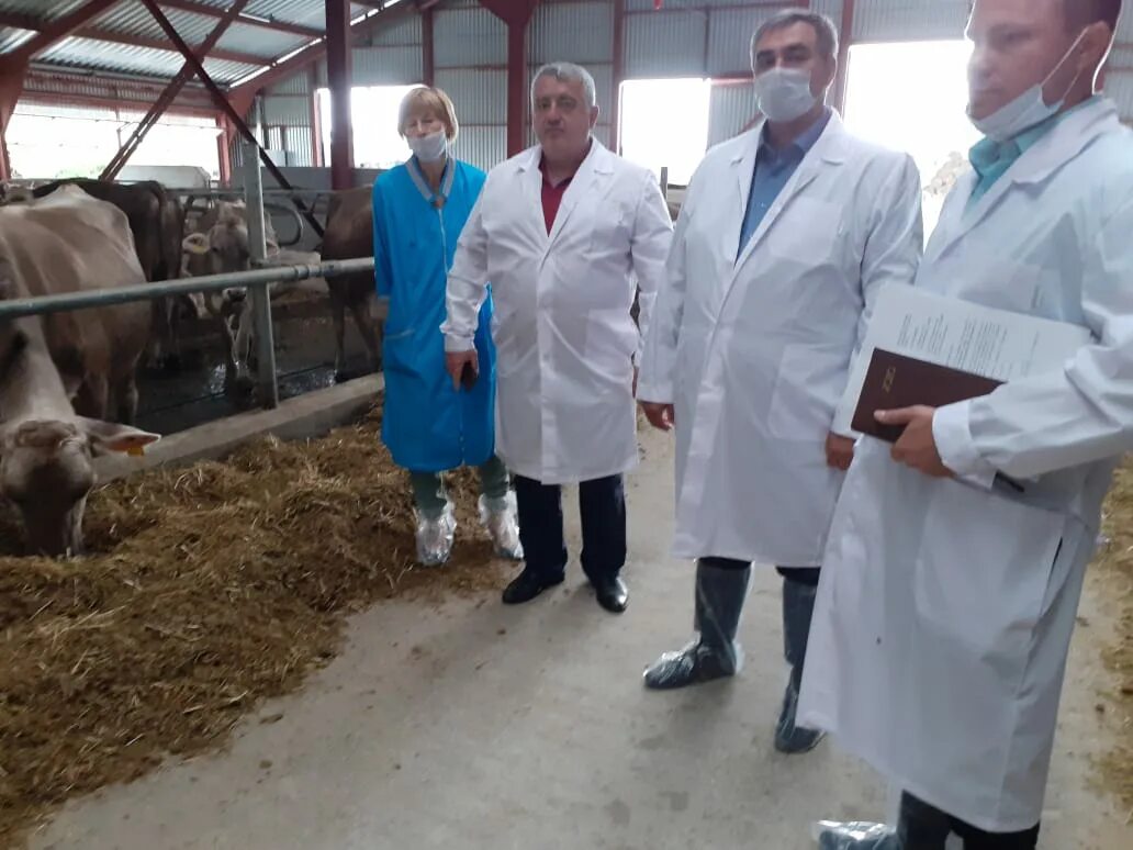 колхоз имени мясникяна. колхоз имени шаумяна чалтырь. колхоз имени мясникяна ростовская область. колхоз мясникяна ростовская. колхоз имени мясникяна.