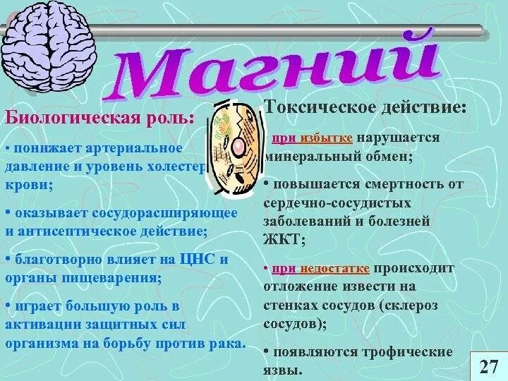 Магний является элементом. Магний в организме человека. Роль магния в организме человека. Биологическая роль магния. Функции магния в организме человека.