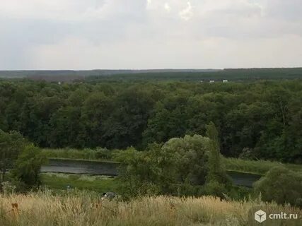 Ступино рамонский воронежская