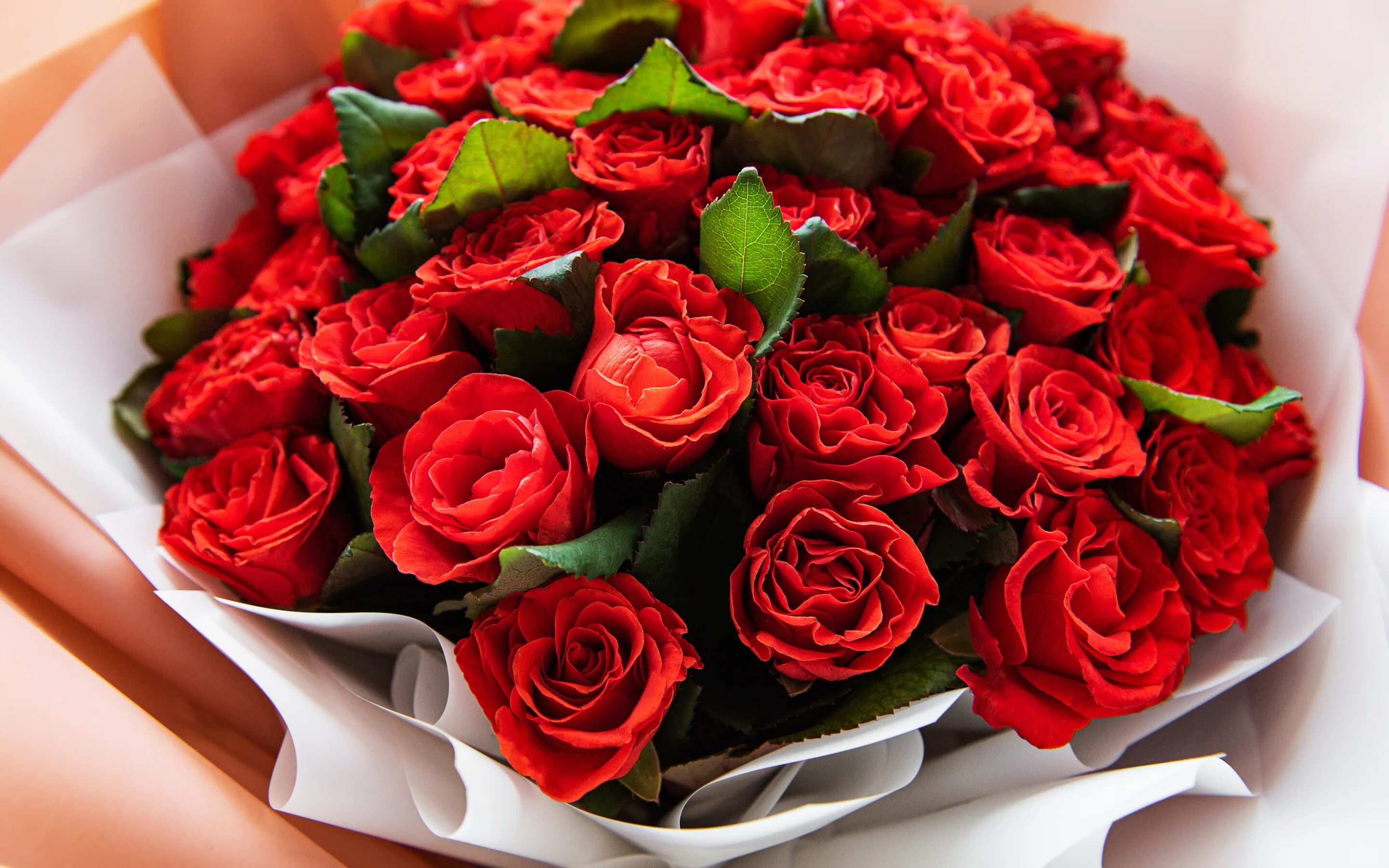 Rose Red Bouquet красные розы. Букет шикарный. Роскошные цветы.