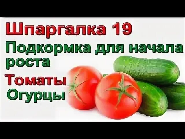 Шпаргалка 19. Формулы для профильной математики егэ 2022. Огэ математика 9 класс шпаргалки шпаргалки. Шпаргалка 19. Шпаргалка 19.