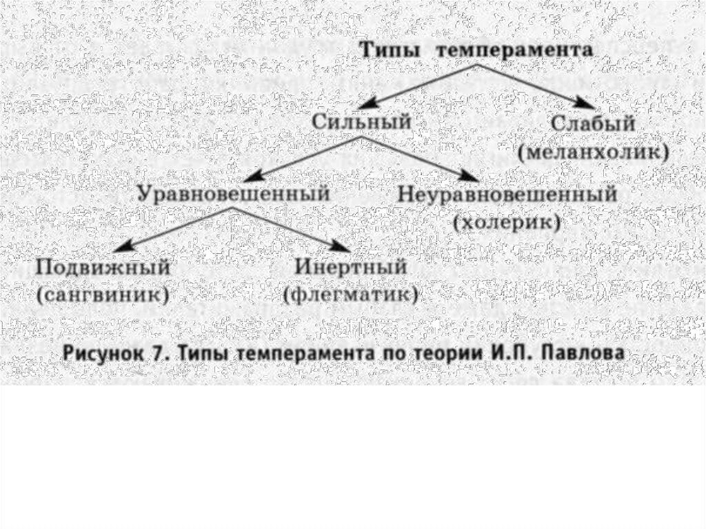 Классификация типов темперамента (по и. п. Павлову).. Схема темпераментов по Павлову. Типы темперамента по Павлову схема. Тип нервной системы и темперамент по Павлову. Типах темперамента и п павлова