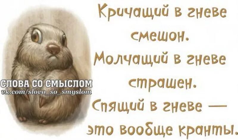 Смешные слова и выражения. Слова со смыслом. прикольные картинки со смыслом. слова со смыслом приколы. смешные цитаты со смыслом.
