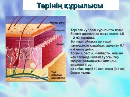 Дәрігердің порносын қараңыз