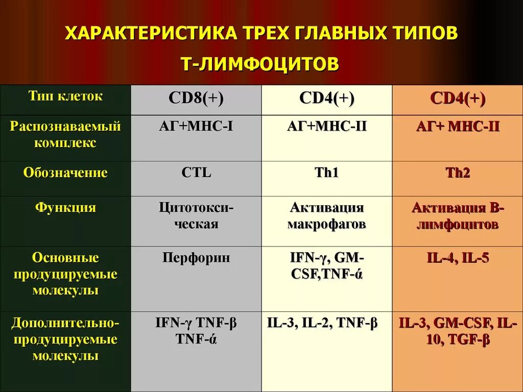 Уровень т-лимфоцитов. Т лимфоциты норма. Снижение лимфоцитов. Повышение и понижение лимфоцитов. Низкие лимфоциты что это значит