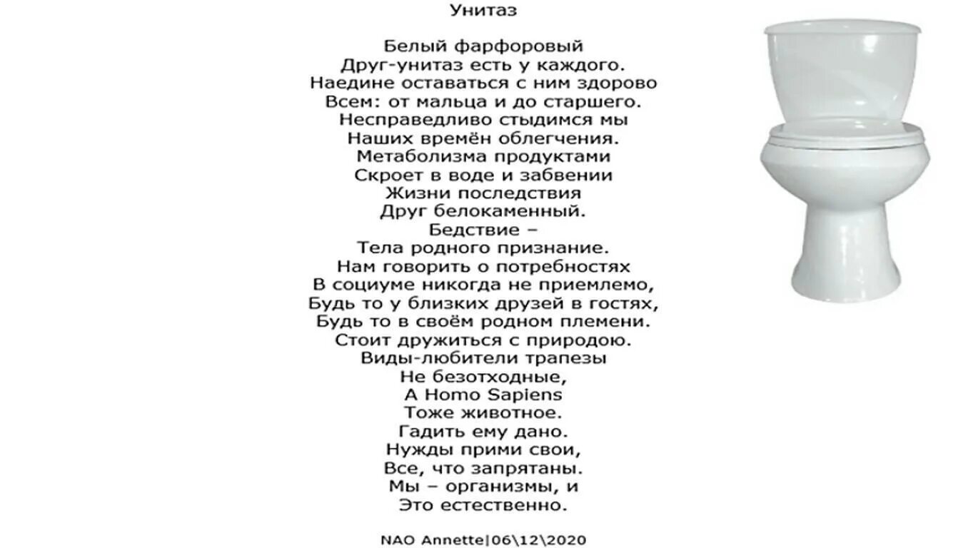 Сонник в туалет по большому. Стих про унитаз. Стишки про туалет. Стихи про унитаз прикольные. Весёлые стихи про унитаз.