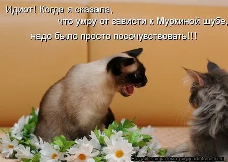 Что означает краля