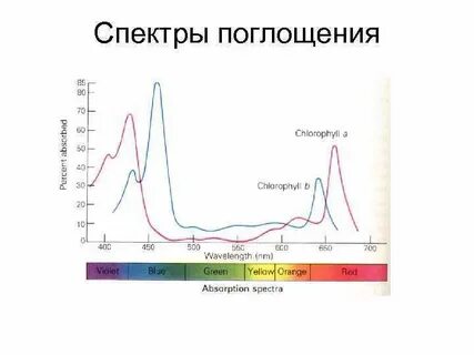 Электронные спектры