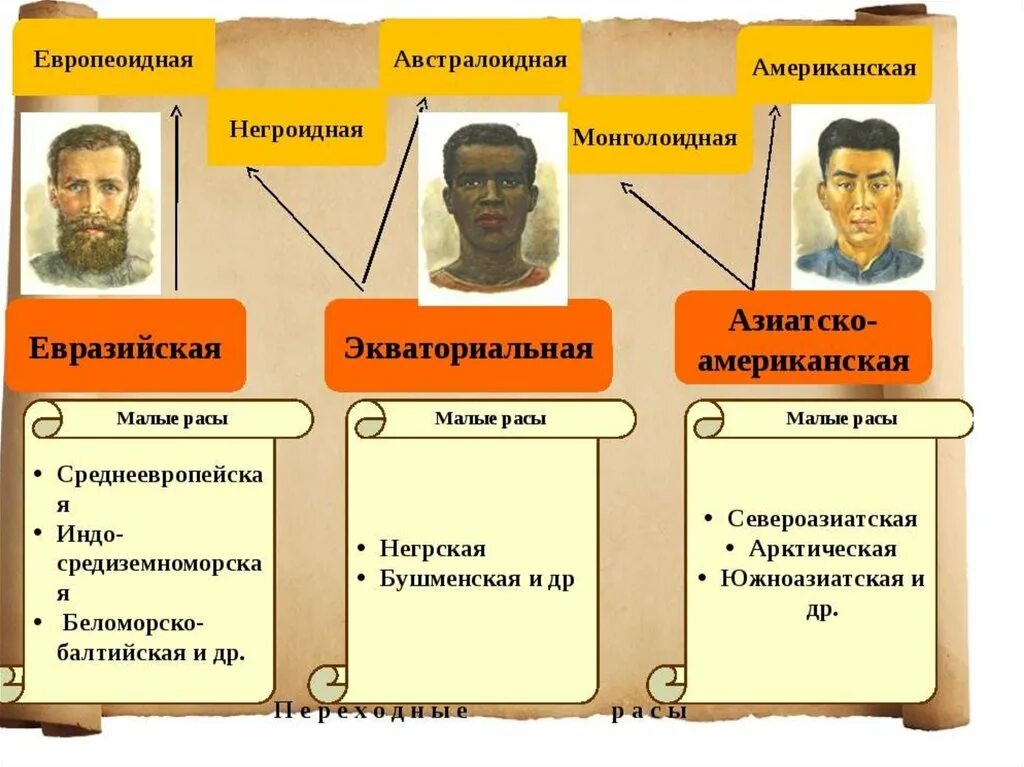 Расы человека 6 класс. Расы европеоидная монголоидная Экваториальная европеоидная. Европеоидная монголоидная негроидная раса таблица. Расы: европеоидную, монголоидную, негроидную и австралоидную.. Монголоидная раса европеоидная раса.