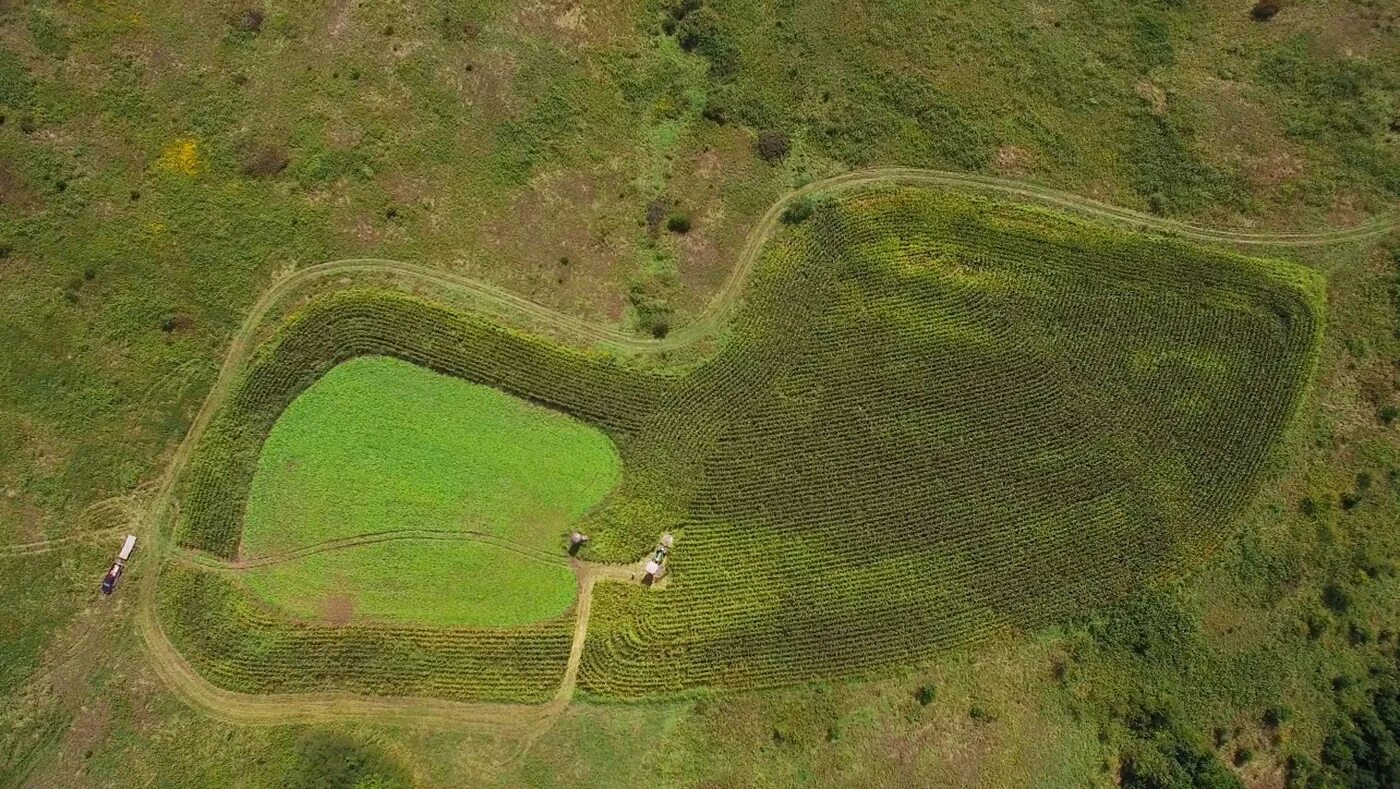 Tripskan top. View ground. Top down ground. Ground Top view. Field Top down.