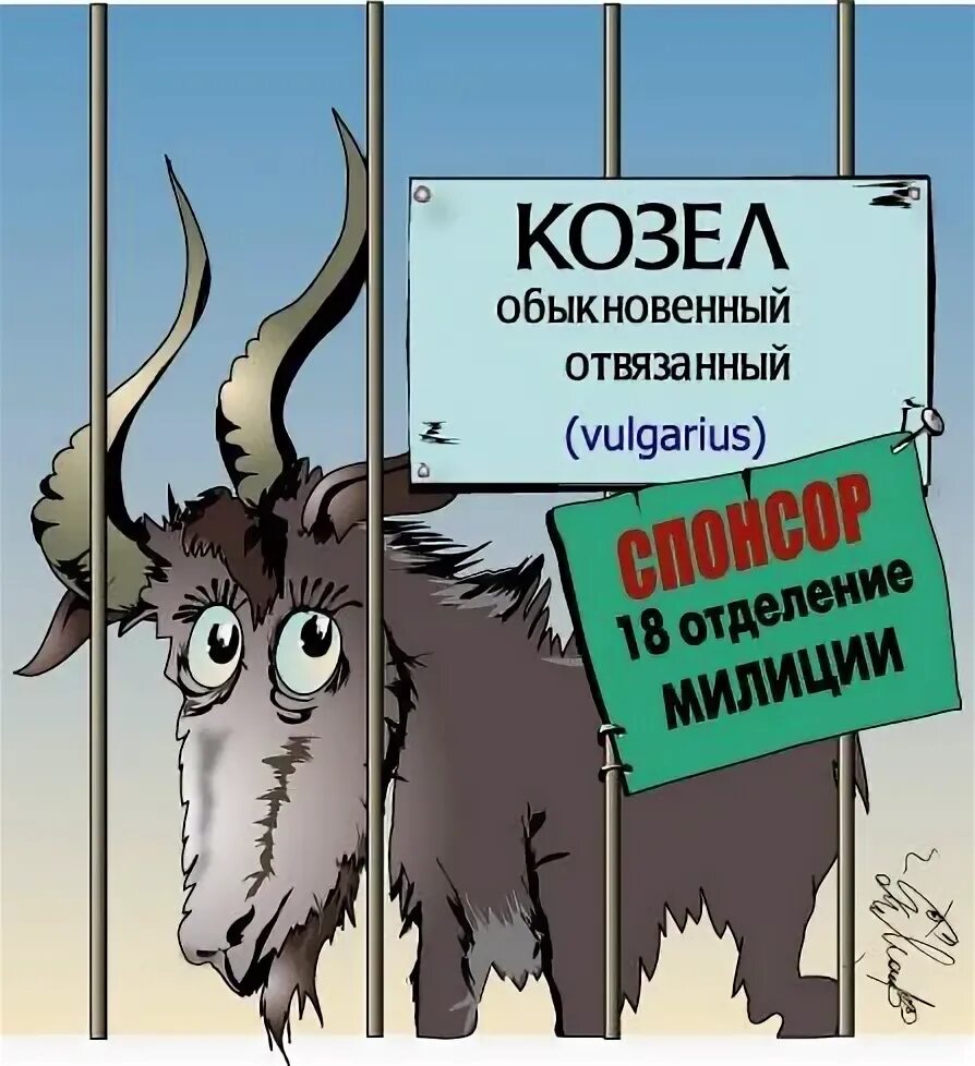 Ты козел. Козлы карикатура. козел юмор. шутки про козла. анекдот козёл.