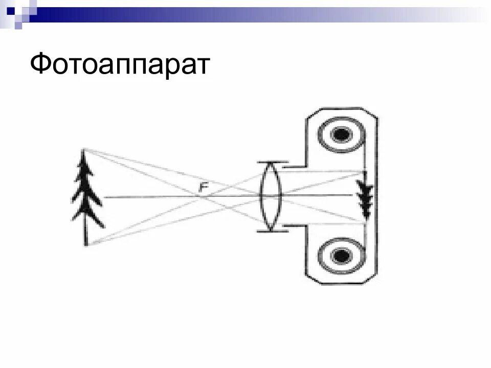 Изображение даваемое фотоаппаратом