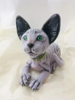 Котята сфинксы недорого
