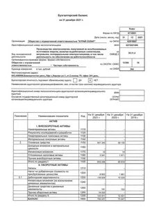 пао новатэк бухгалтерский баланс