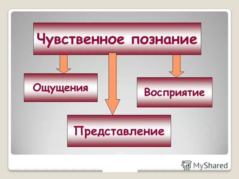 Абстрактность чувственное познание. Сравнение чувственного познания и абстрактного мышления. Формы чувственного и абстрактного познания. Абстрактность чувственное познание. Абстрактность чувственное познание.