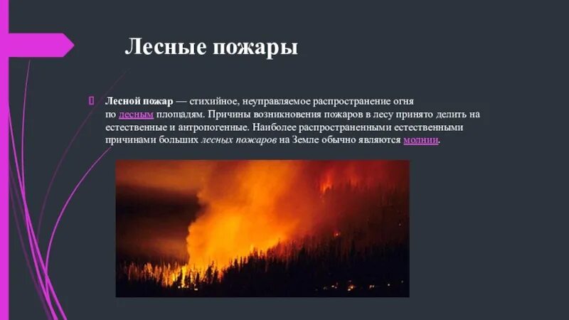 Возникновение природных пожаров. Лесные пожары презентация. Причины лесных пожаров. Пожар для презентации. Природный пожар определение