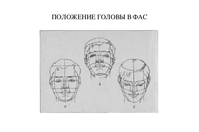 Изменение положения головы. Положение головы. рисунки схематичный головы и шеи. положение головы фас. схема головы в фас.