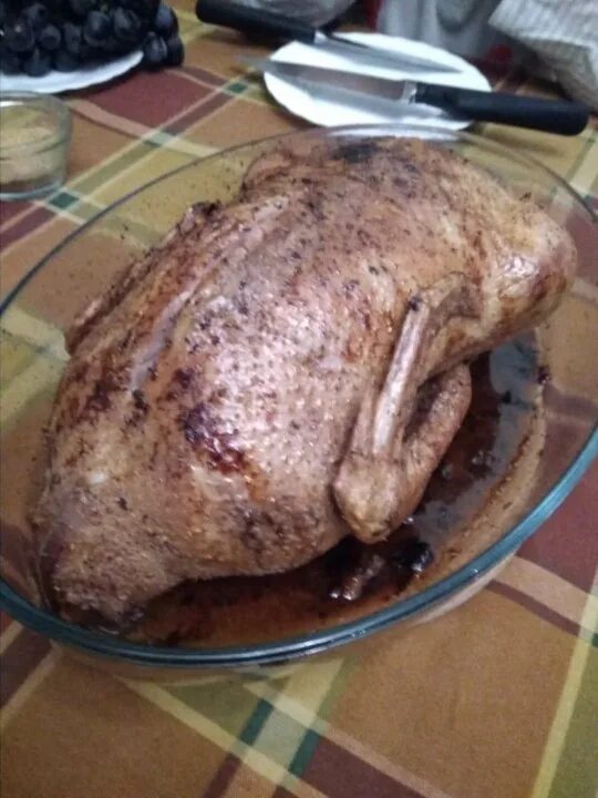 мясо индоуток фото