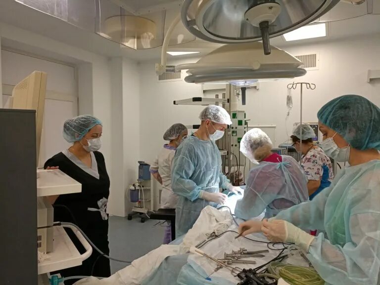 клинические проявления миомы матки. онкологический центр европейская клиника. центр миомы матки москва. профилактика миомы матки. клиника при миоме матки.