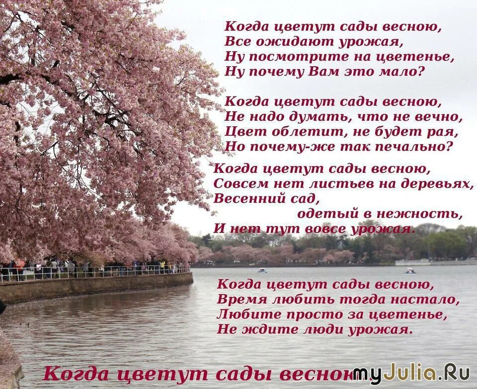 Другое значение слова сад. Стихи о цветущем саде. Стихи о цветущих садах. Цветут сады стихи. Стихи про цветущие сады.