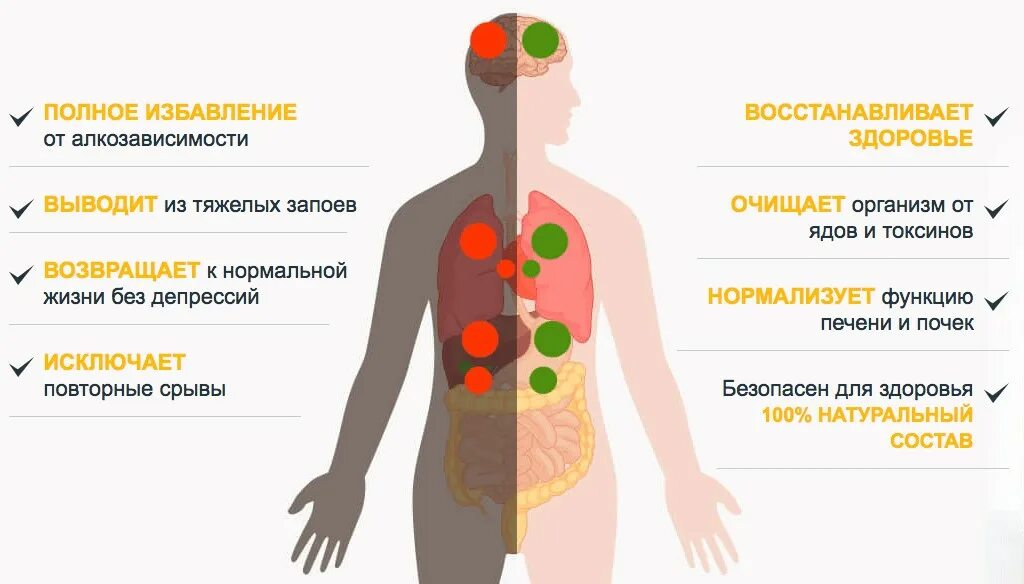 За какое время очищается. Выведение токсических веществ из организма. Выведение токсинов из организма. Продукты выводящие яды из организма.