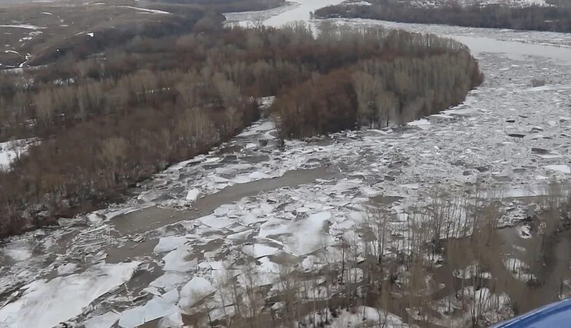 Паводок 2024 алтайском крае. Рассказиха Алтайский край затопило. Паводок в Алтайском крае в 2022. Весенний паводок в Чарышском районе Алтайского края. Паводок Алтайский край Чарышский район 2014.