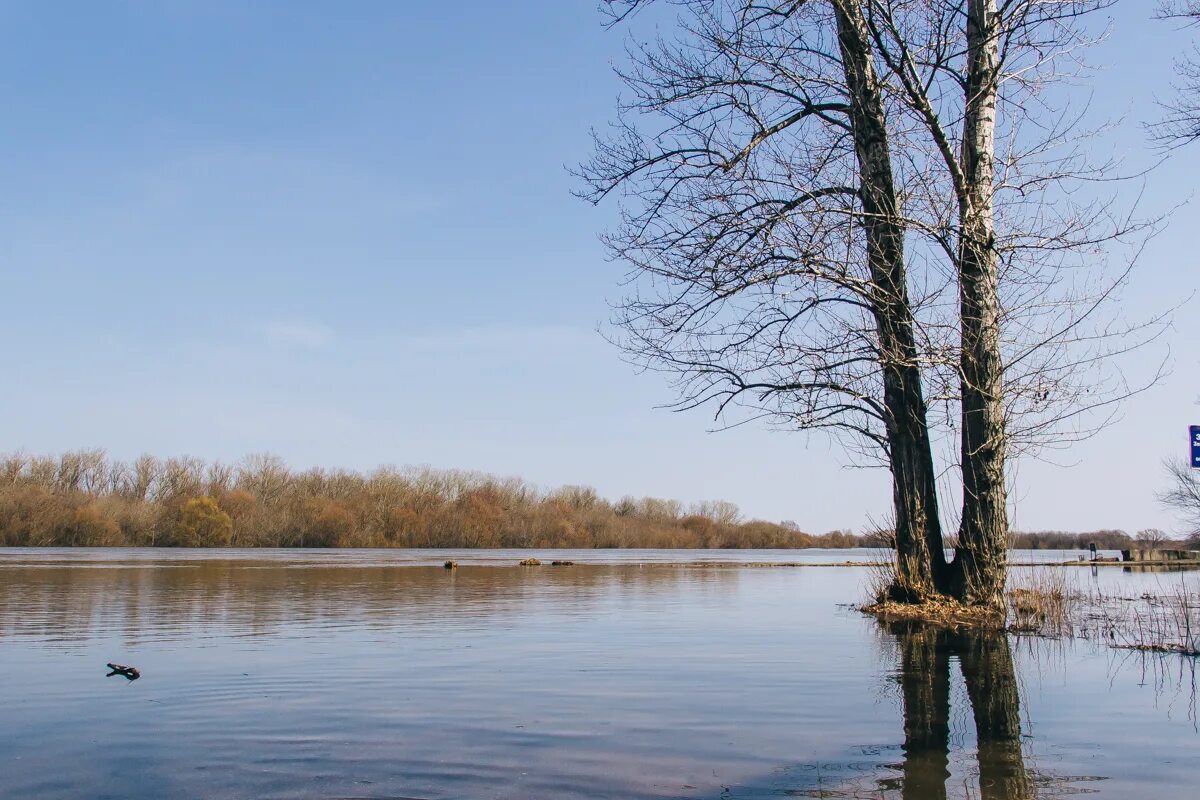 Уровень воды в мокше на сегодня. Ока река Рязань разлив. Пойма Оки Рязань. Разлив на Оке Рязань. Половодье на Оке в Рязанской области 2022.