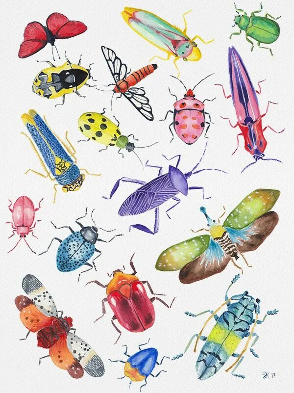 Разноцветные жуки и бабочки. Насекомые иллюстрации. Рисование насекомые. Насекомые акварелью. Цветные насекомые.