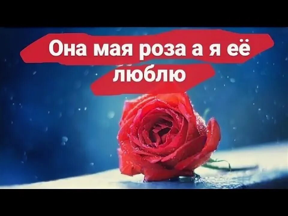 Она моя розовая. Она моя розовая. Она моя розовая. Она моя розовая. Она моя розовая.
