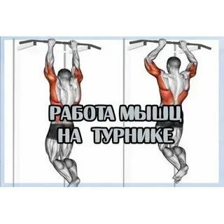 Подтягиваться какие мышцы
