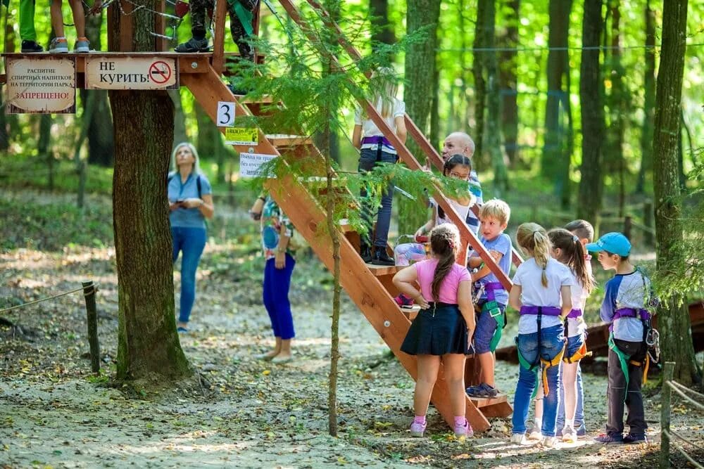 Park school. Школьный парк. Школы парки. Экскурсия школьников в парк. Парке школьников.