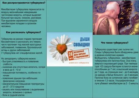 Курсовая профилактика туберкулеза