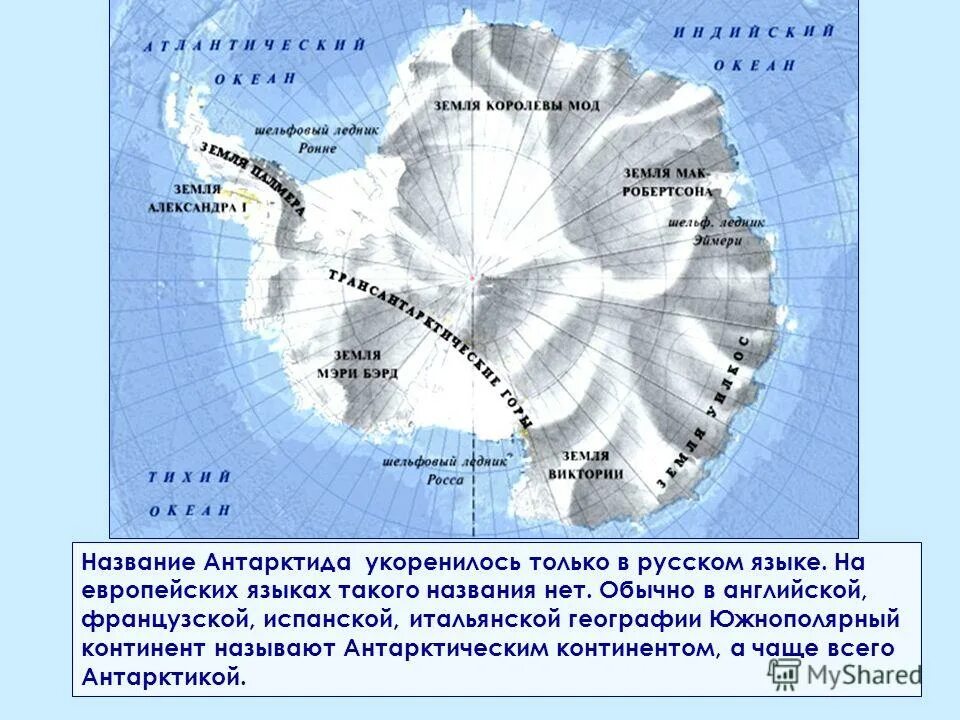 Тест по географии 7 класс тема антарктида