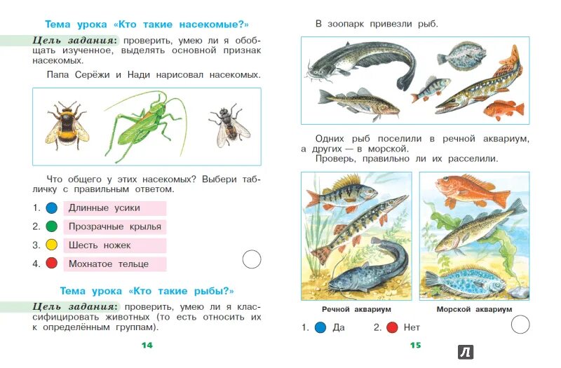 План урока окружающий мир 1 класс. Окружающий мир 1 класс Плешаков рыбы. Окружающий мир 1 класс школа России задания. Окружающий мир 1 класс рабочая тетрадь рыбы. Задание про рыб 1 класс.