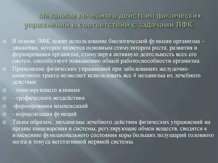 Основное действие физических упражнений